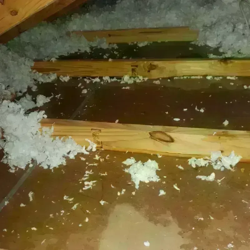 Attic Water Damage in Bull Shoals, AR